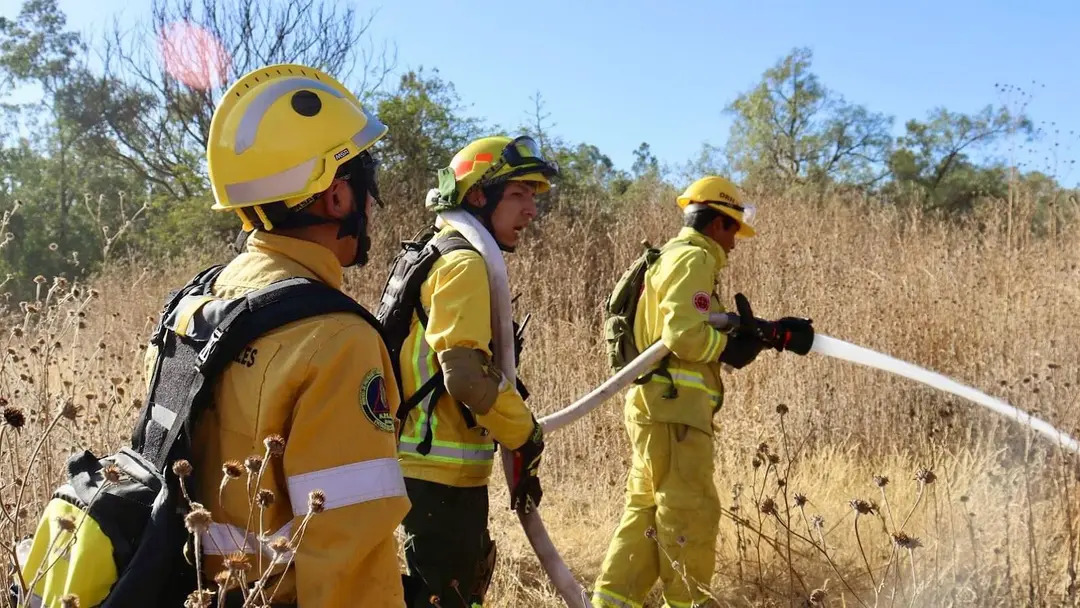 Advierten condiciones extremas de riesgos de incendios forestales