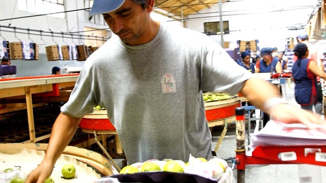 El desarrollo de energía solar como proyección para cooperativa frutícola