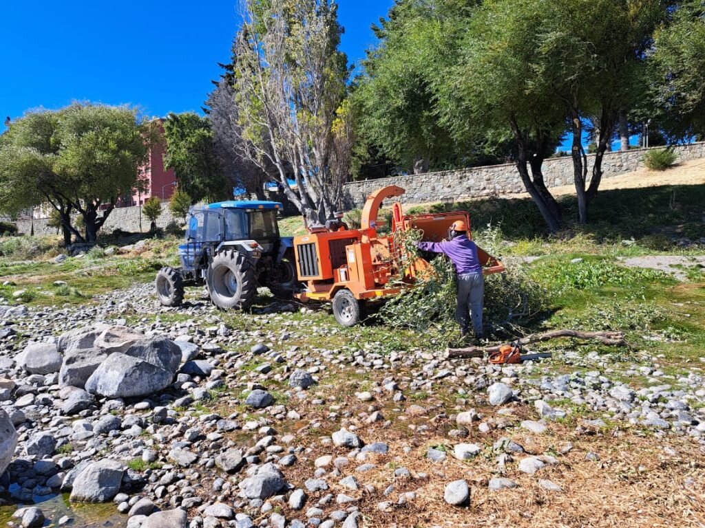 Municipio está limpiando la costa céntrica del lago Nahuel Huapi