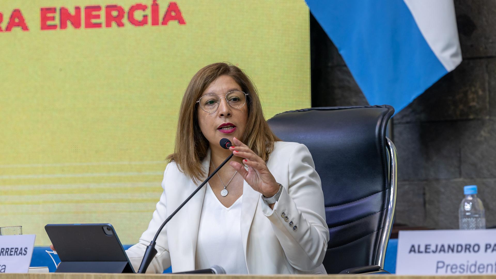 Carreras: “La Secretaría de Juventudes tendrá perfil técnico y transversal”
