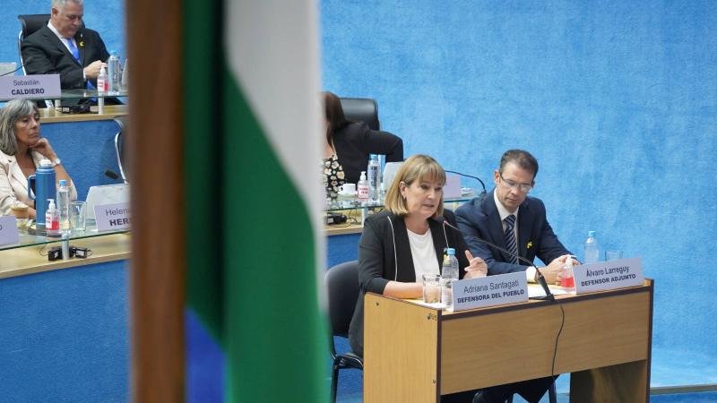 La Defensora brindó su informe in voce del período 2021-2022