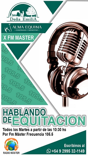 Qué hay que tener en cuenta para practicar equitación