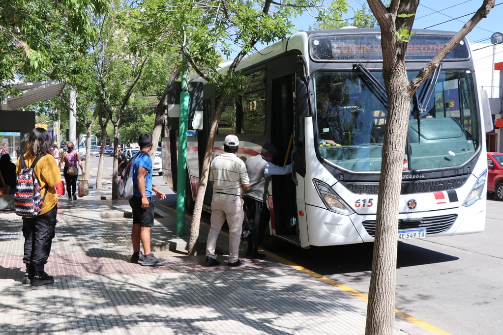 Requisitos para Tramitar el Boleto Escolar en Cipolletti 