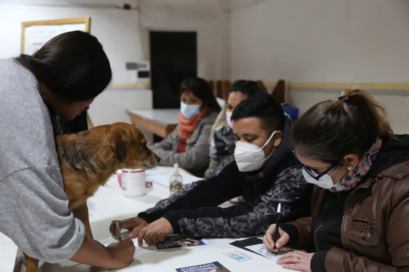 Con una gran convocatoria, se realizó una jornada de vacunación antirrábica y de desparasitación gratuita de perros y gatos en San Lorenzo Norte