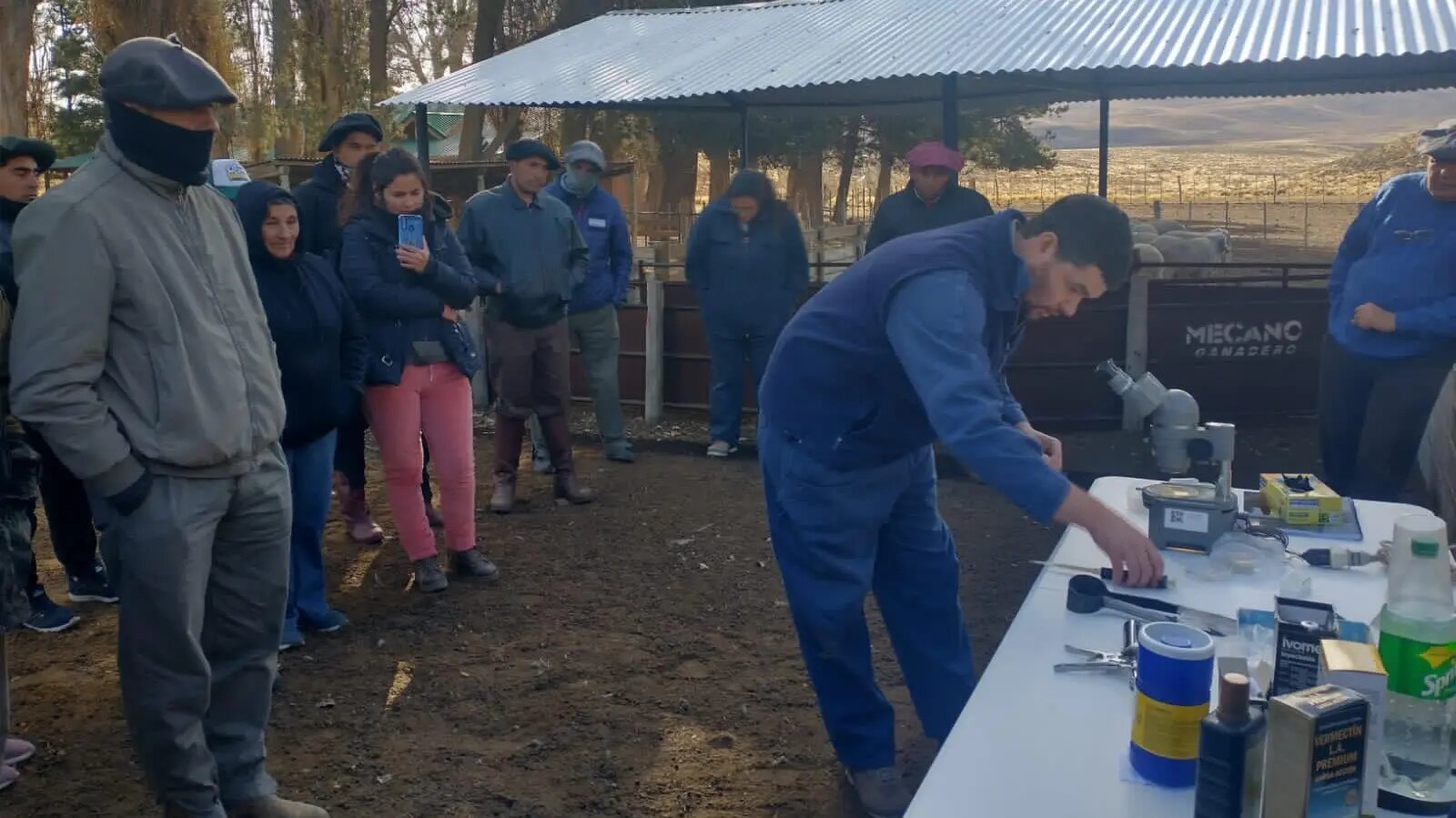 Se capacitó a productores, técnicos y personal de campo sobre sanidad ovina