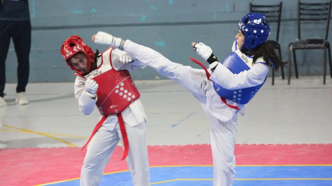 El Alto Valle recibe el primer campeonato “Taekwondo Sur”