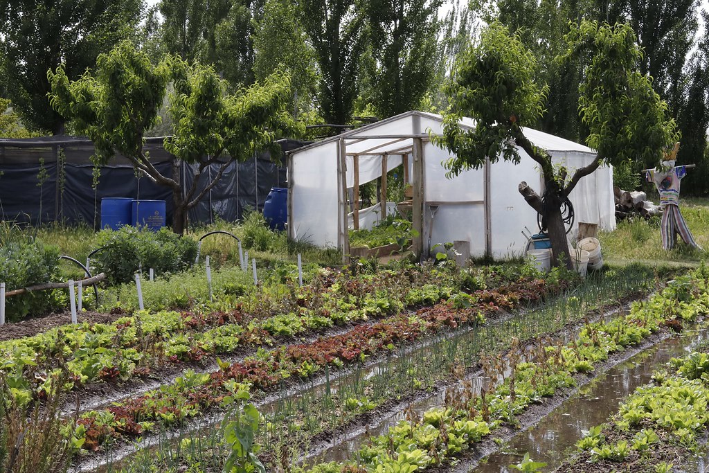 En Septiembre Llega un Ciclo de Charlas Huerta Agroecológica