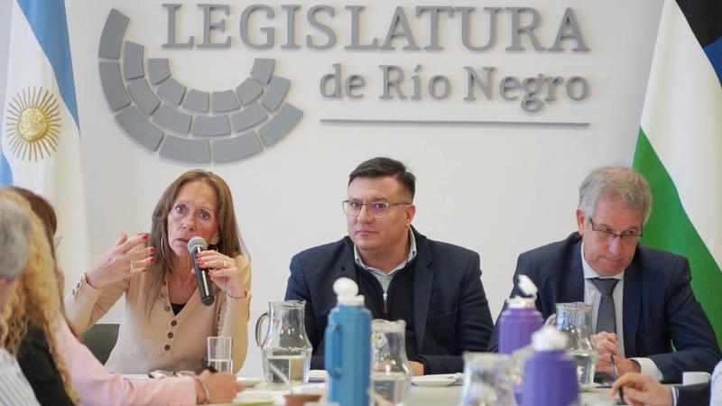 Buscar modificar el código procesal penal