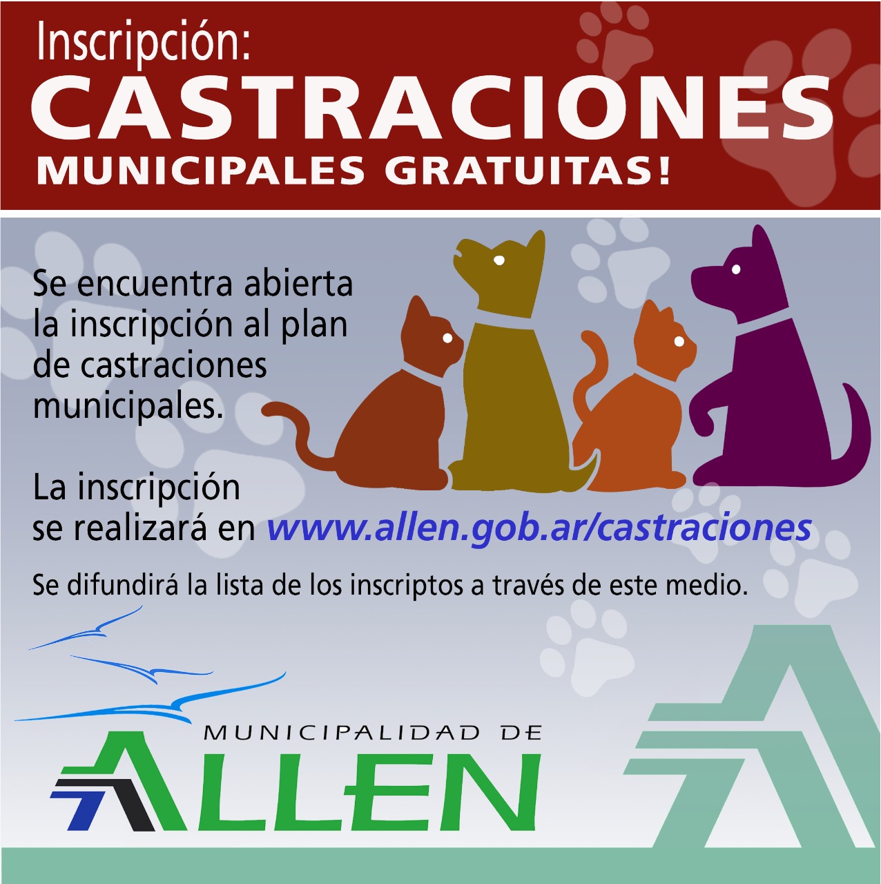 CASTRACIONES MUNICIPALES GRATUITAS 