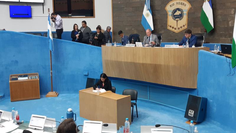 La Legislatura rionegrina repudió el atentando contra la vicepresidenta de la Nación