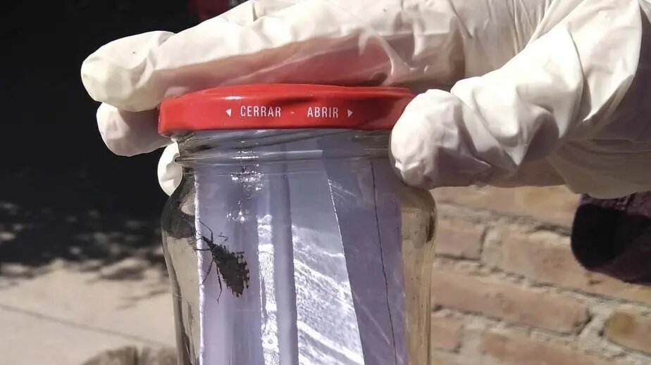 Salud recuerda medidas para la prevención del Chagas