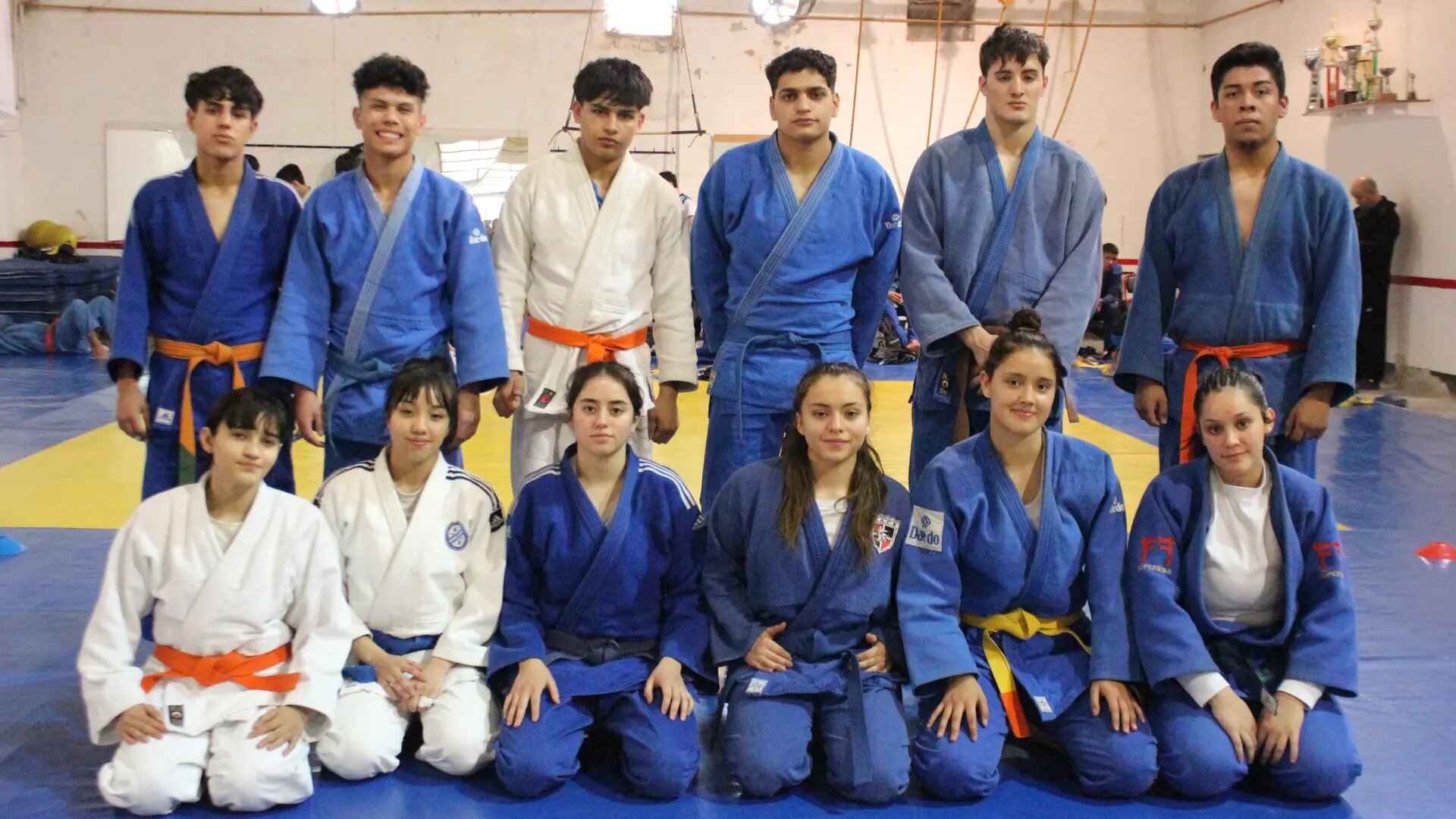 El judo rionegrino definió sus representantes para los Araucanía