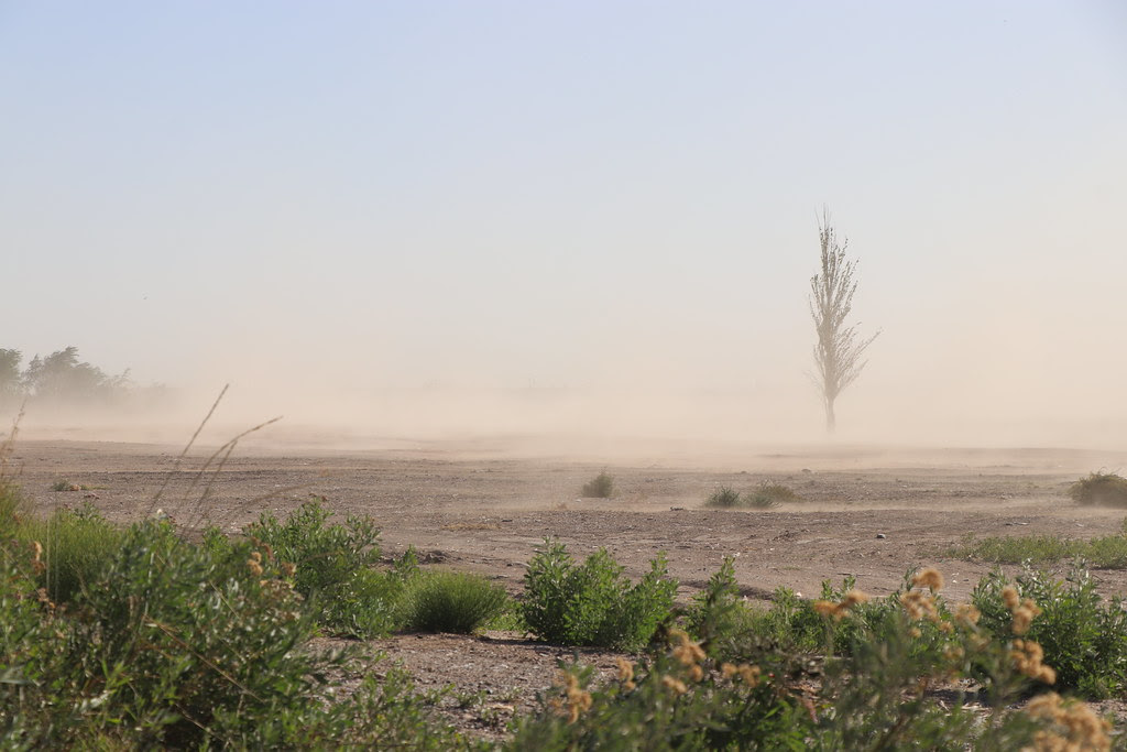 PRECAUCIÓN: PRONÓSTICO DE FUERTES RÁFAGAS EN EL ALTO VALLE