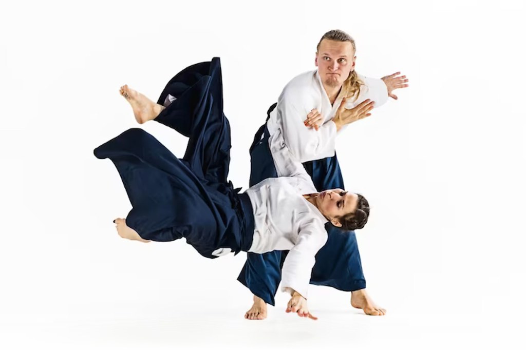 2° INTERDOJO PATAGÓNICO DE AIKIDO EN CIPOLLETTI 
