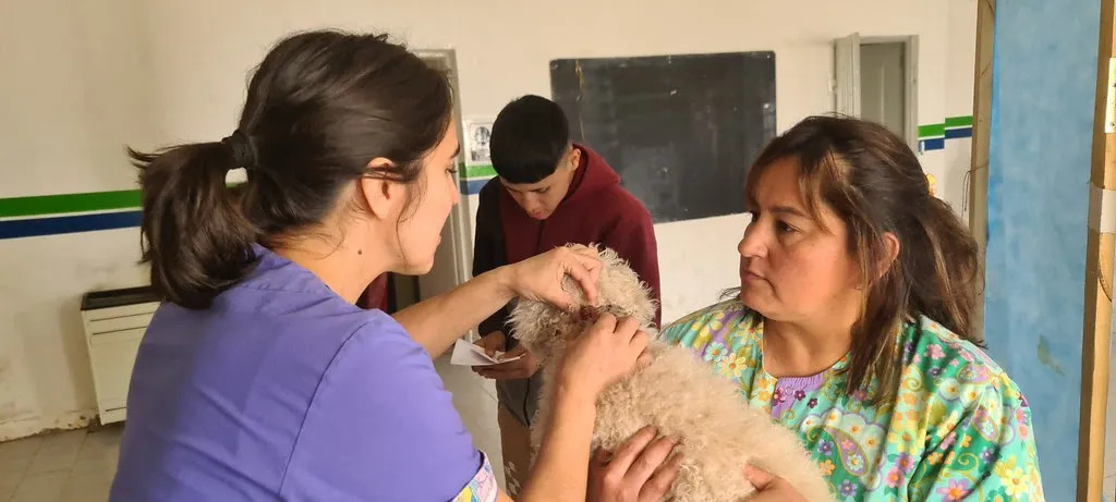 Continúan las jornadas de atención primaria de perros y gatos en Cipolletti