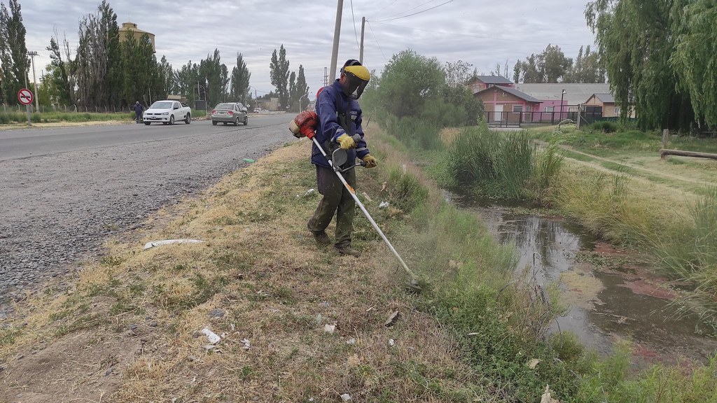 Desmalezamiento y Limpieza en Ruta Nacional N°151