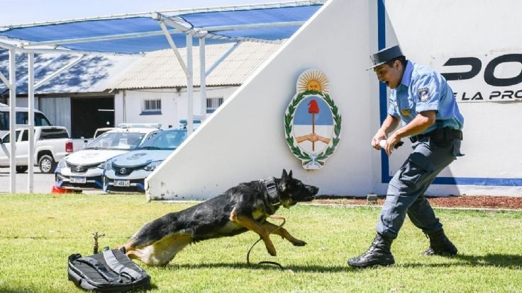 Así trabaja Emily, la perra que lucha contra los narcos en Neuquén